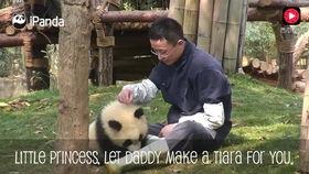 虞姬新皮肤爆料视频高清